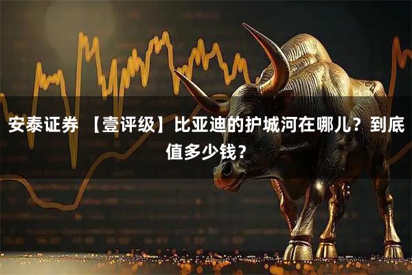 安泰证券 【壹评级】比亚迪的护城河在哪儿？到底值多少钱？