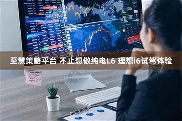 至慧策略平台 不止想做纯电L6 理想i6试驾体验