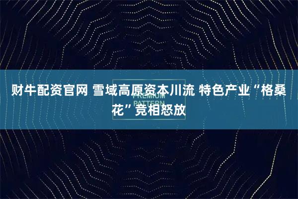 财牛配资官网 雪域高原资本川流 特色产业“格桑花”竞相怒放