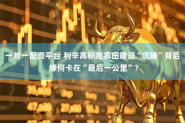 一对一配资平台 利辛高标准农田建设“沉睡”背后 缘何卡在“最后一公里”？