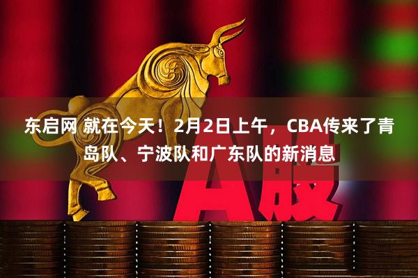 东启网 就在今天！2月2日上午，CBA传来了青岛队、宁波队和广东队的新消息