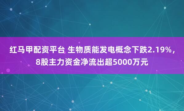 红马甲配资平台 生物质能发电概念下跌2.19%，8股主力资金净流出超5000万元